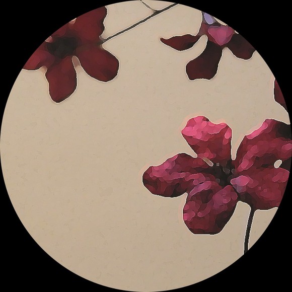 Meet your Posher, Chris - Picture 1 of 14